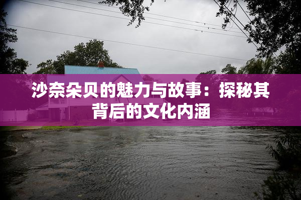 沙奈朵贝的魅力与故事：探秘其背后的文化内涵