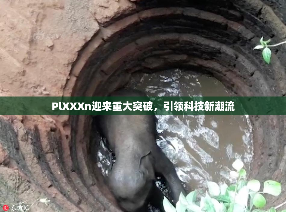 PlXXXn迎来重大突破，引领科技新潮流
