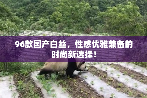 96款国产白丝，性感优雅兼备的时尚新选择！