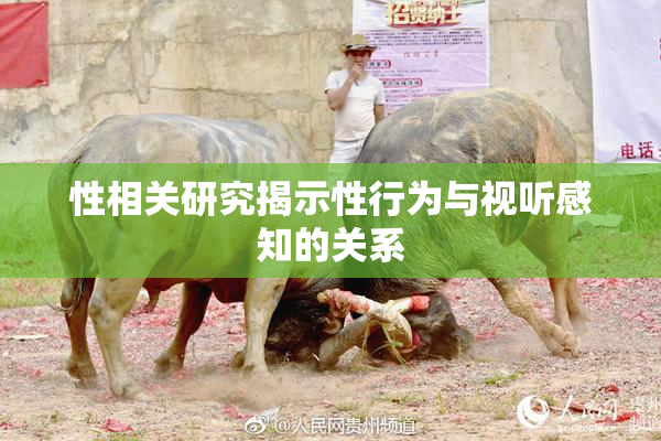 性相关研究揭示性行为与视听感知的关系