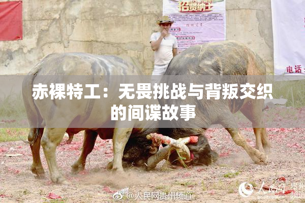 赤裸特工：无畏挑战与背叛交织的间谍故事