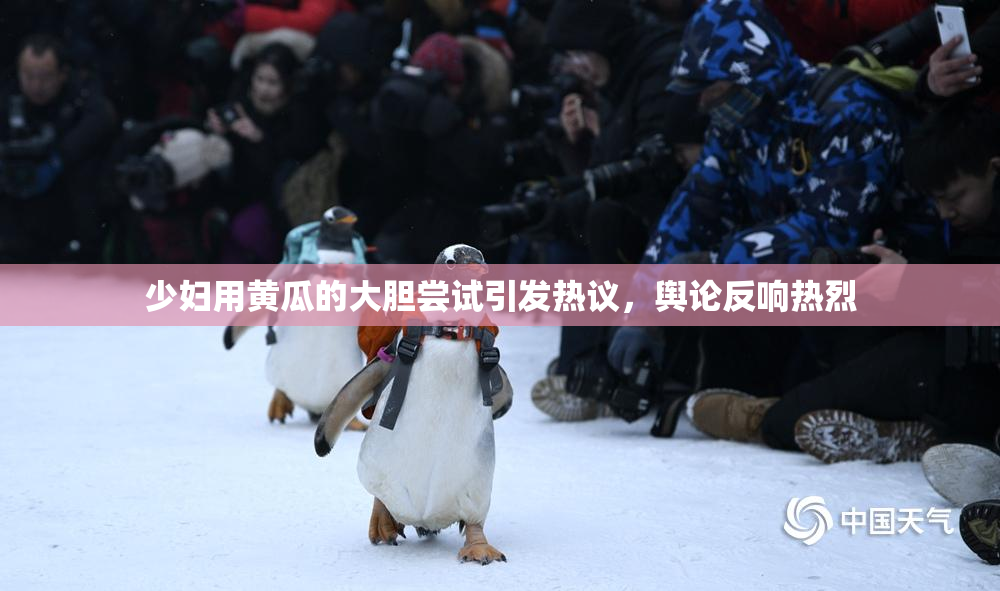 少妇用黄瓜的大胆尝试引发热议，舆论反响热烈