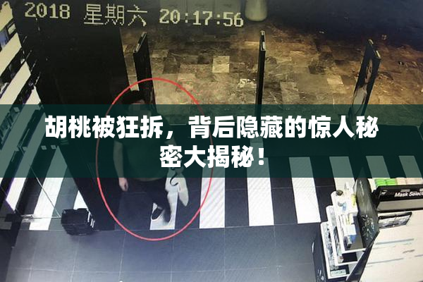 胡桃被狂拆，背后隐藏的惊人秘密大揭秘！