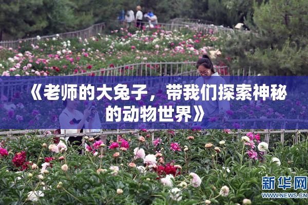 《老师的大兔子，带我们探索神秘的动物世界》