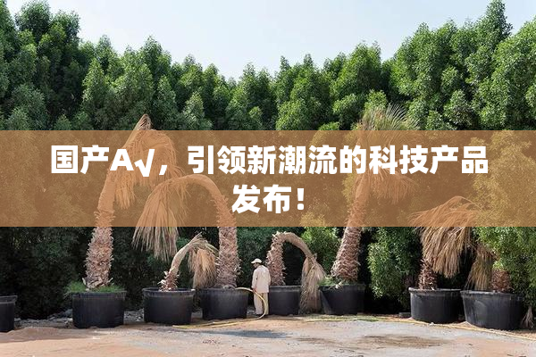 国产A√，引领新潮流的科技产品发布！