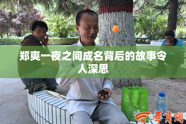 郑爽一夜之间成名背后的故事令人深思