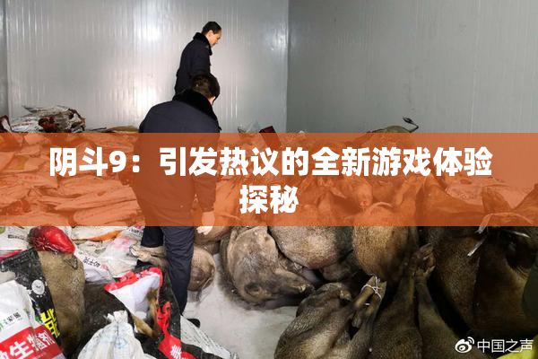 阴斗9：引发热议的全新游戏体验探秘