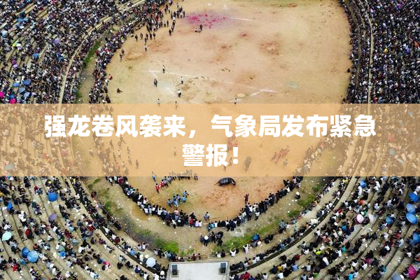 强龙卷风袭来，气象局发布紧急警报！