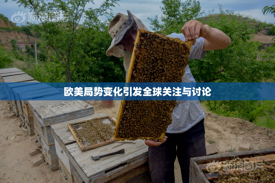 欧美局势变化引发全球关注与讨论