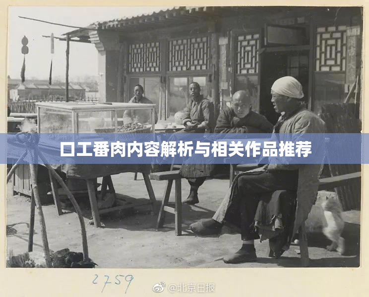 口工番肉内容解析与相关作品推荐