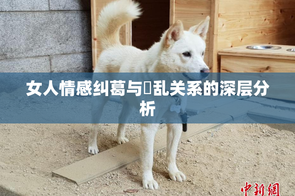 女人情感纠葛与婬乱关系的深层分析