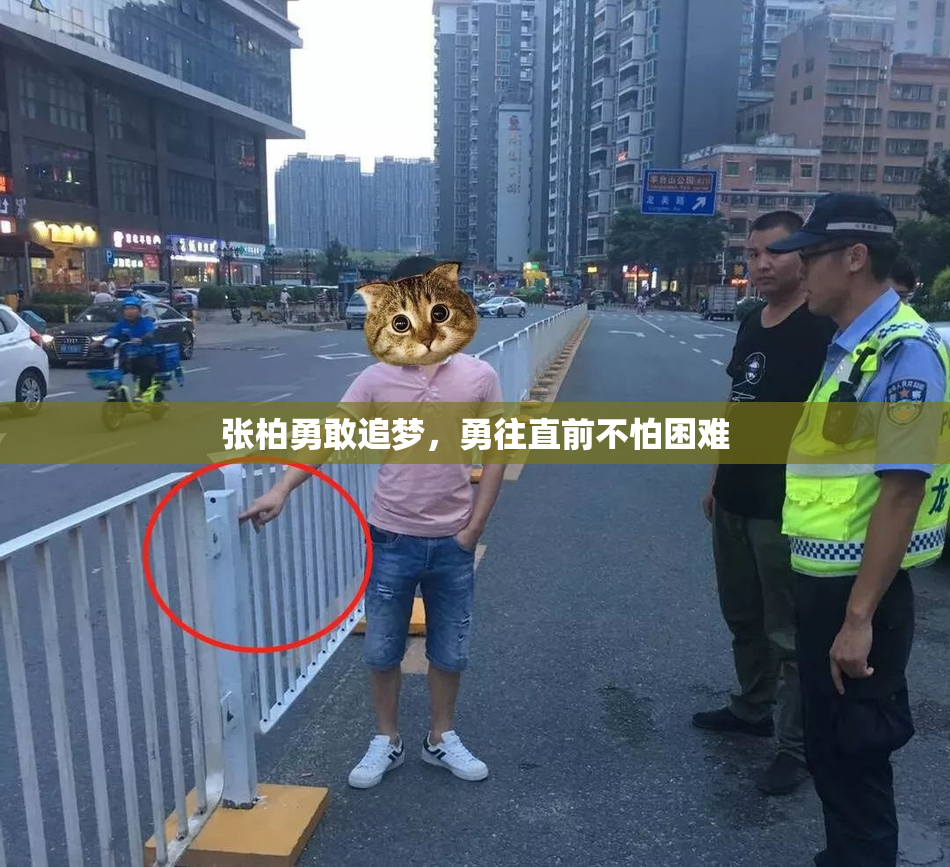 张柏勇敢追梦，勇往直前不怕困难