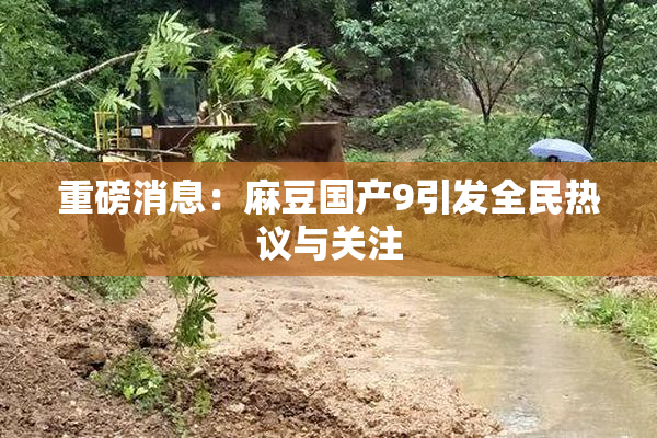 重磅消息：麻豆国产9引发全民热议与关注