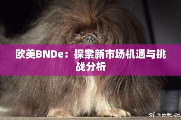 欧美BNDe：探索新市场机遇与挑战分析