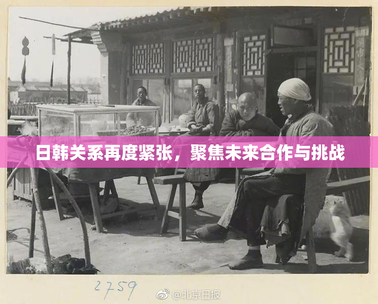 日韩关系再度紧张，聚焦未来合作与挑战