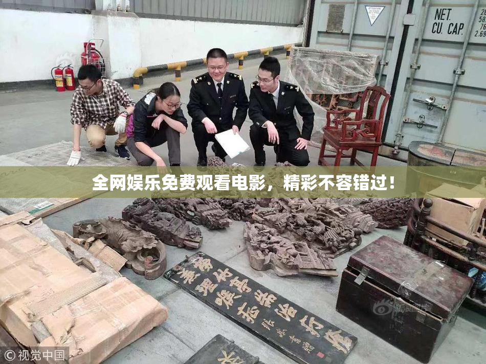 全网娱乐免费观看电影，精彩不容错过！