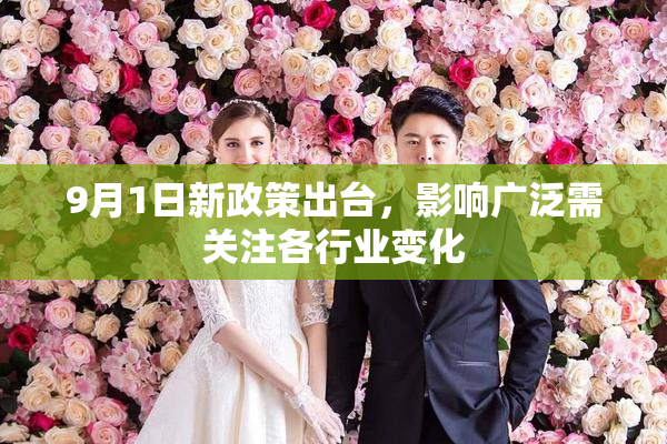 9月1日新政策出台，影响广泛需关注各行业变化