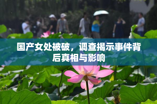 国产女处被破，调查揭示事件背后真相与影响