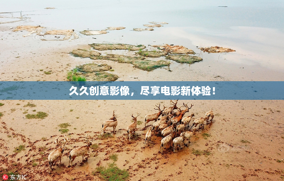 久久创意影像，尽享电影新体验！