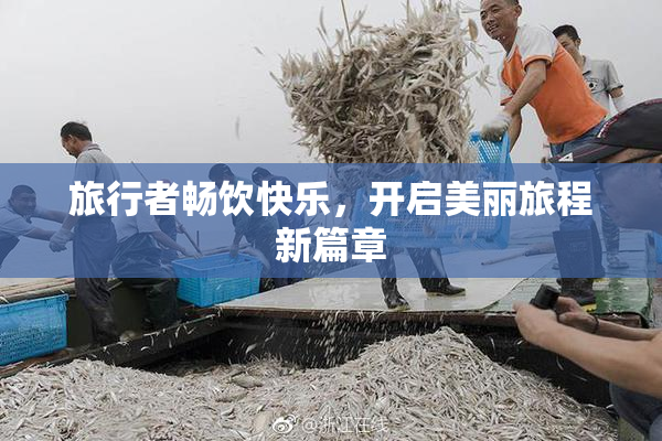 旅行者畅饮快乐，开启美丽旅程新篇章