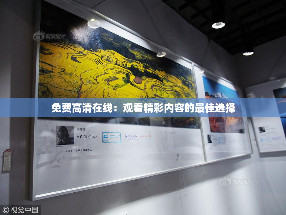 免费高清在线：观看精彩内容的最佳选择