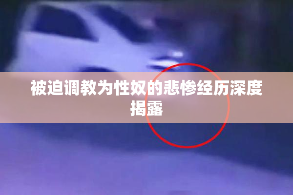 被迫调教为性奴的悲惨经历深度揭露