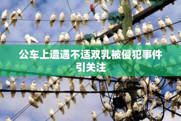 公车上遭遇不适双乳被侵犯事件引关注