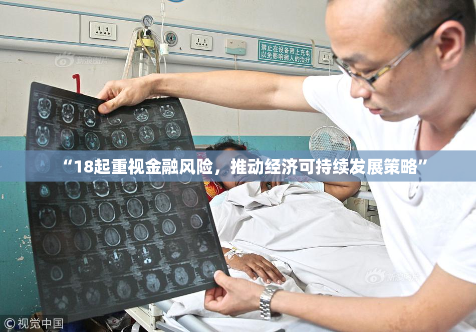 “18起重视金融风险，推动经济可持续发展策略”