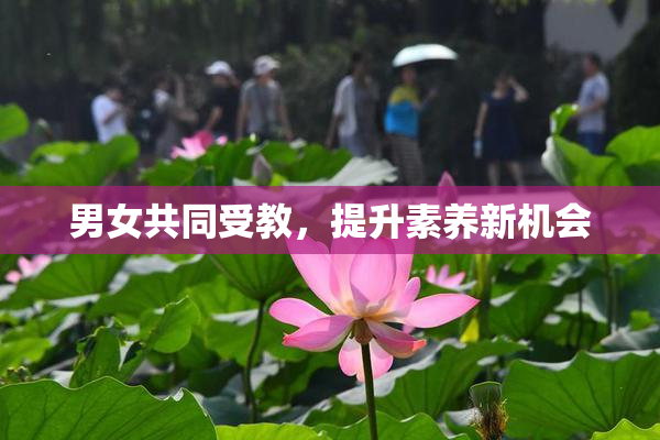 男女共同受教，提升素养新机会