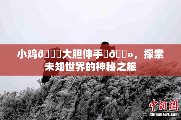 小鸡🐔大胆伸手‌🐻，探索未知世界的神秘之旅