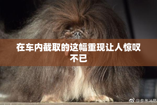 在车内截取的这幅重现让人惊叹不已