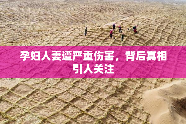 孕妇人妻遭严重伤害，背后真相引人关注