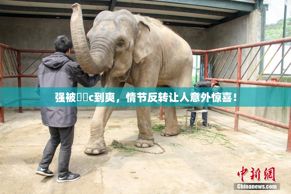强被❌‌c到爽，情节反转让人意外惊喜！