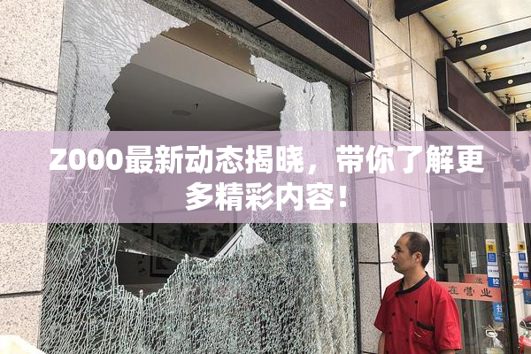 Z000最新动态揭晓，带你了解更多精彩内容！