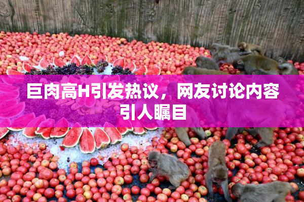 巨肉高H引发热议，网友讨论内容引人瞩目