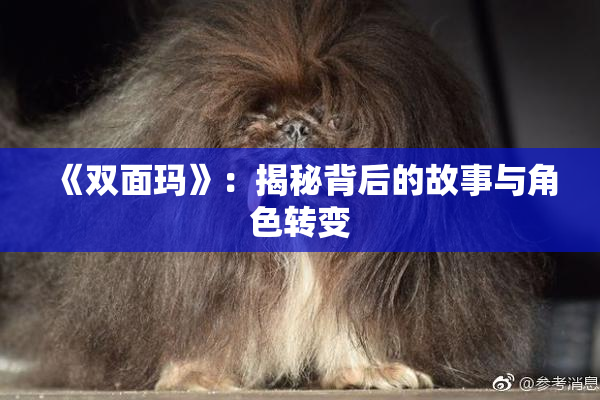 《双面玛》：揭秘背后的故事与角色转变