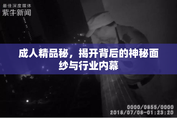 成人精品秘，揭开背后的神秘面纱与行业内幕