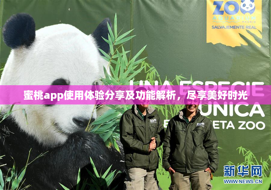 蜜桃app使用体验分享及功能解析，尽享美好时光