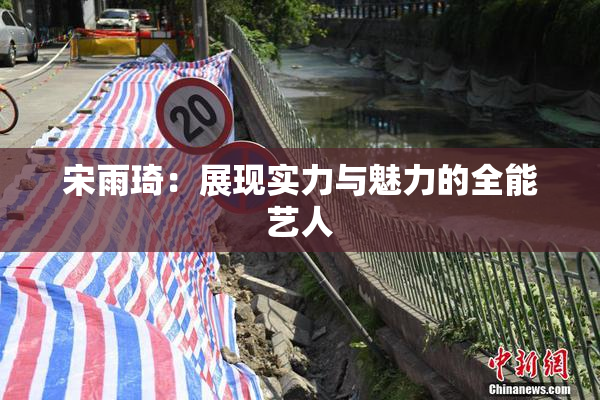宋雨琦：展现实力与魅力的全能艺人