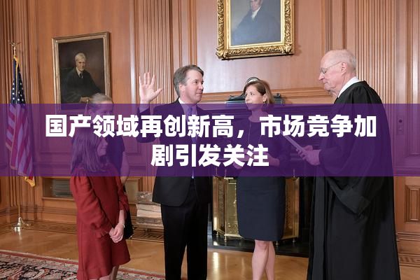 国产领域再创新高，市场竞争加剧引发关注