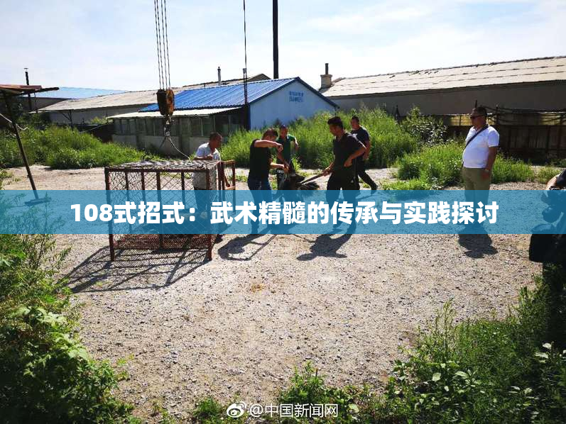 108式招式：武术精髓的传承与实践探讨