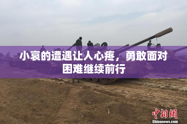 小哀的遭遇让人心疼，勇敢面对困难继续前行