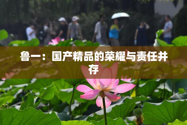 鲁一：国产精品的荣耀与责任并存