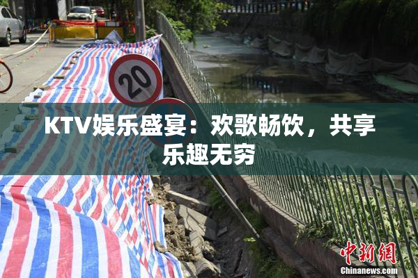 KTV娱乐盛宴：欢歌畅饮，共享乐趣无穷