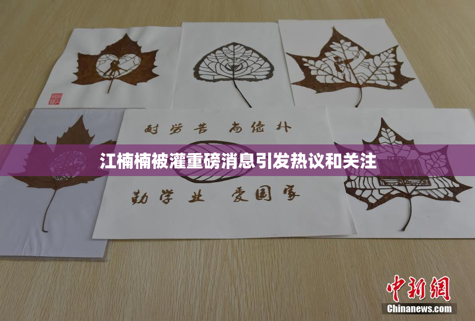 江楠楠被灌重磅消息引发热议和关注