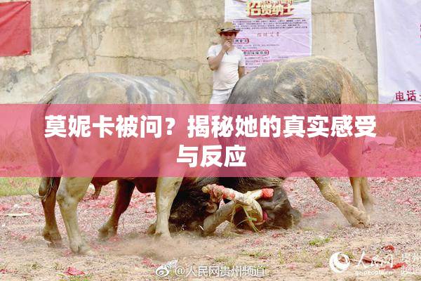 莫妮卡被问？揭秘她的真实感受与反应