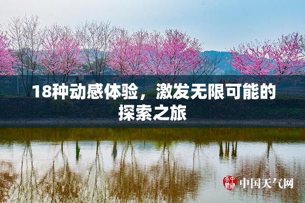 18种动感体验，激发无限可能的探索之旅