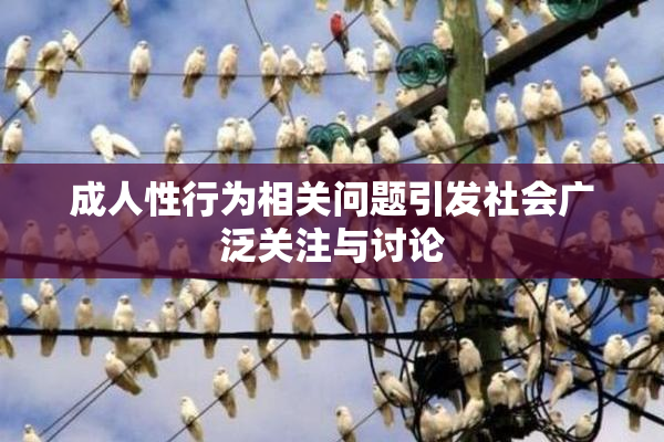 成人性行为相关问题引发社会广泛关注与讨论
