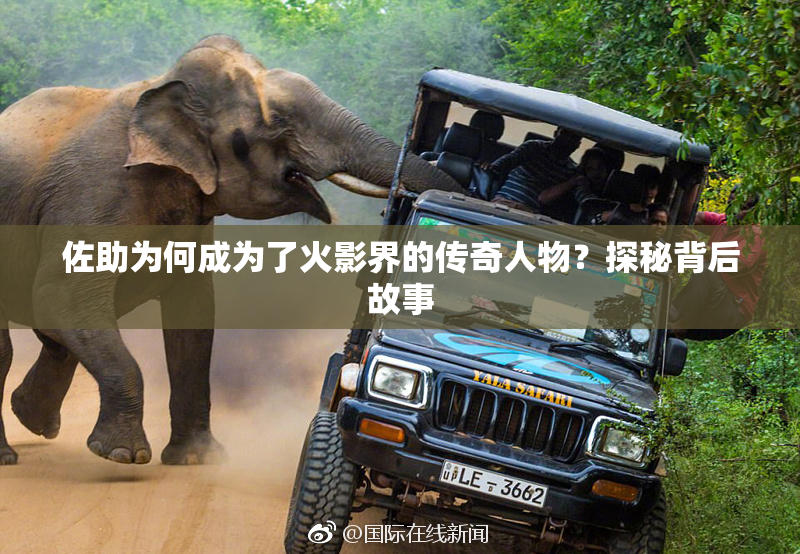佐助为何成为了火影界的传奇人物？探秘背后故事