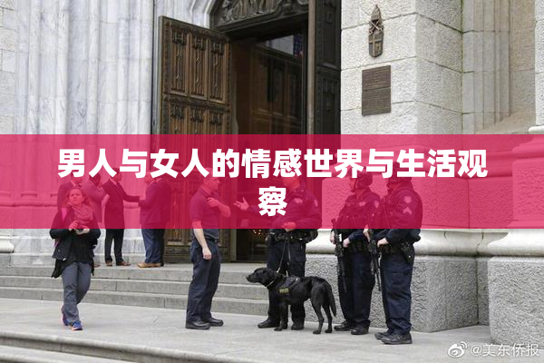 男人与女人的情感世界与生活观察